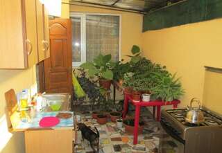 Гостиница Гостевой Дом Ветерок Адлер Номер "Стандарт"-2